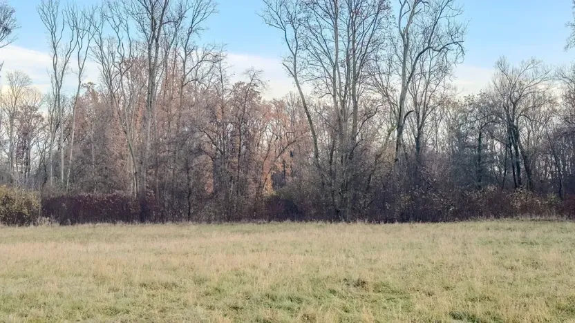 Prodej pole, Oseček, 76028 m2