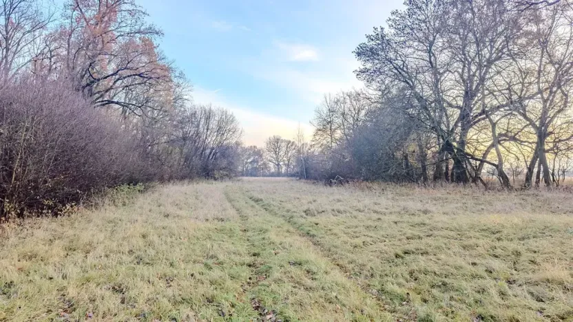 Prodej pole, Oseček, 76028 m2