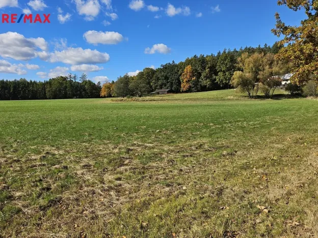 Prodej rodinného domu, Nová Ves, 375 m2