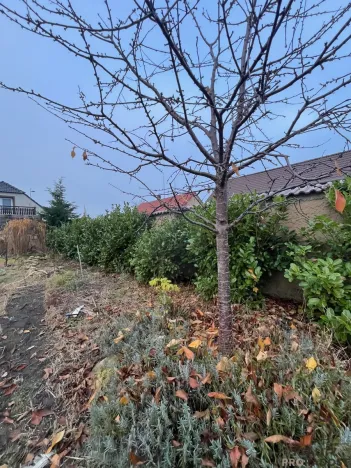 Prodej rodinného domu, Peruc - Radonice nad Ohří, 110 m2