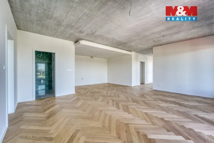 Prodej bytu 3+kk, Plzeň - Východní Předměstí, Kamenická, 134 m2