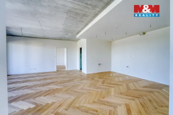 Prodej bytu 3+kk, Plzeň - Východní Předměstí, Kamenická, 134 m2