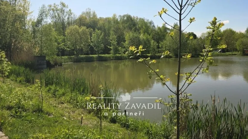 Prodej rybníku, Žabeň, 30500 m2