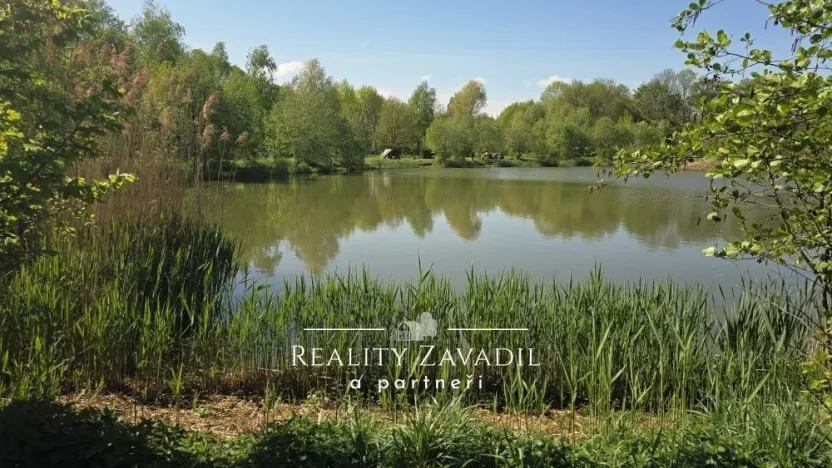 Prodej rybníku, Žabeň, 30500 m2
