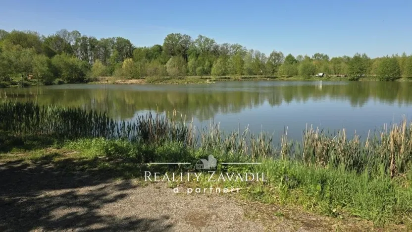Prodej rybníku, Žabeň, 30500 m2