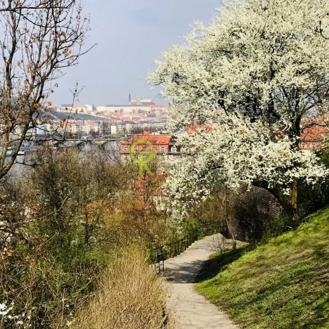 Pronájem bytu 1+1, Praha - Nové Město, Na výtoni, 41 m2