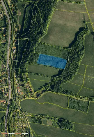 Prodej lesa, Nový Jičín, 15225 m2