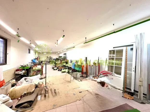 Pronájem obchodního prostoru, Napajedla, Palackého, 180 m2