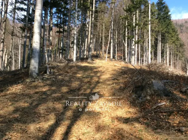 Prodej lesa, Morávka, 27814 m2