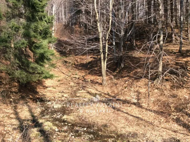 Prodej lesa, Morávka, 27814 m2