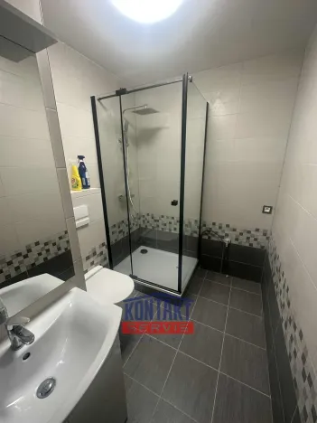 Pronájem bytu 2+1, České Budějovice, Dobrovodská, 63 m2