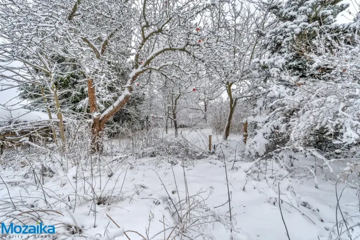 Prodej zemědělské usedlosti, Dědová, 400 m2