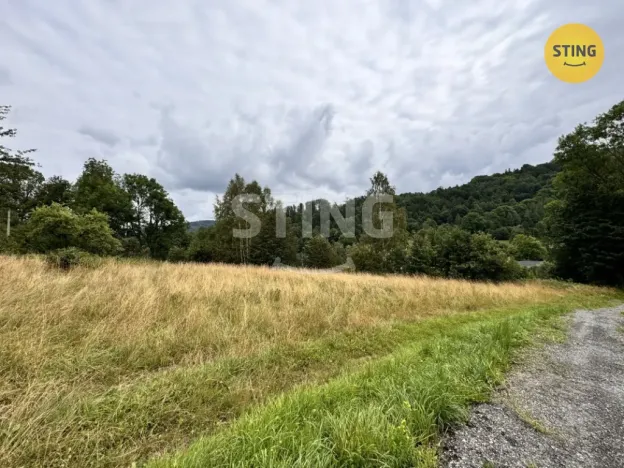 Prodej pozemku pro bydlení, Bělá pod Pradědem - Domašov, 3362 m2