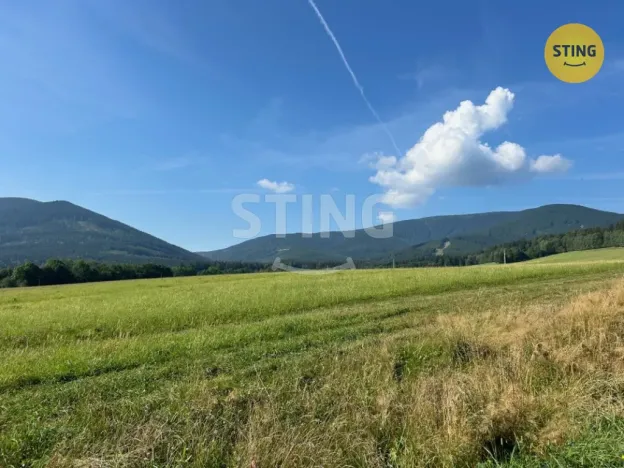 Prodej pozemku pro bydlení, Bělá pod Pradědem - Domašov, 3362 m2