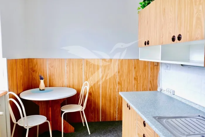 Prodej bytu 3+1, Plzeň, Rychtaříkova, 61 m2