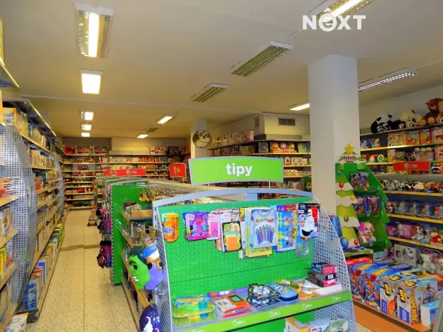 Pronájem obchodního prostoru, Nový Bor, Tř. T. G. Masaryka, 150 m2