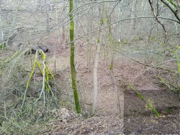 Prodej pozemku, Újezd u Svatého Kříže, 1239 m2