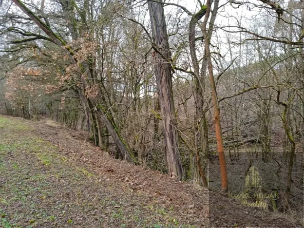 Prodej pozemku, Újezd u Svatého Kříže, 1239 m2