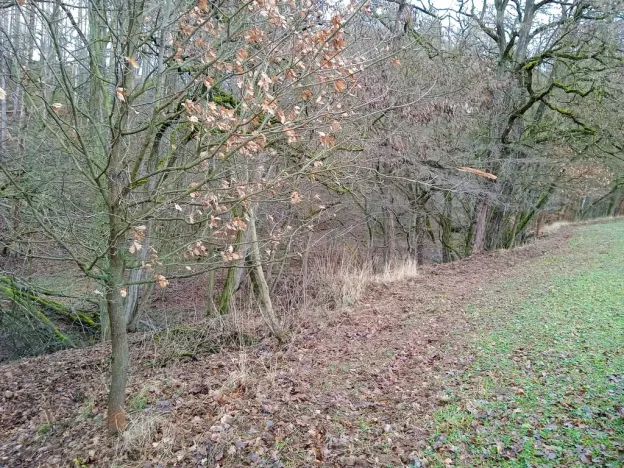 Prodej pozemku, Újezd u Svatého Kříže, 1239 m2