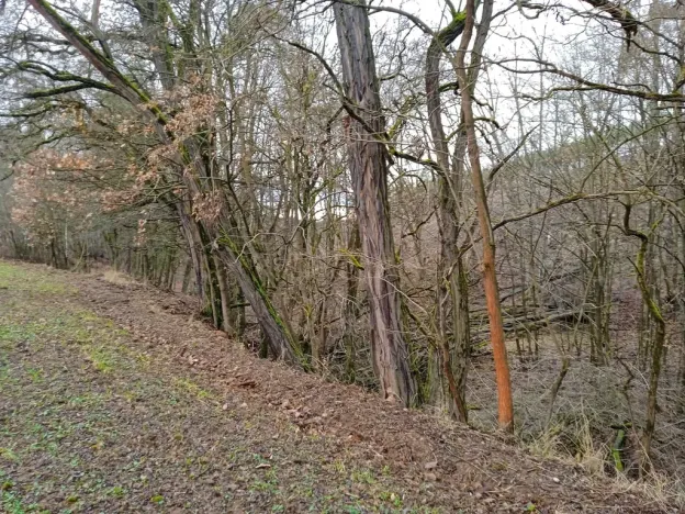 Prodej pozemku, Újezd u Svatého Kříže, 1239 m2