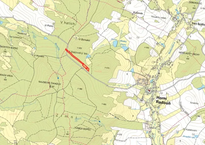 Prodej lesa, Horní Radouň, 21861 m2