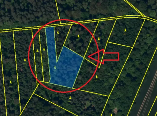 Prodej lesa, Velká Polom, 3922 m2