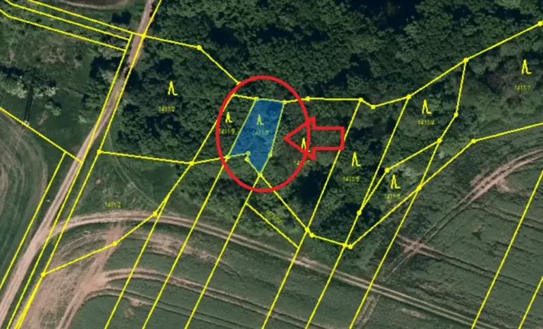 Prodej lesa, Velká Polom, 3922 m2