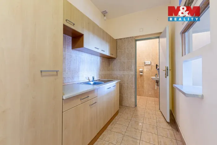 Pronájem bytu 2+kk, Plzeň - Vnitřní Město, Zbrojnická, 80 m2