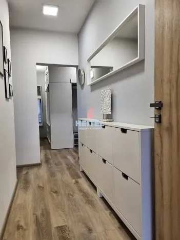 Pronájem bytu 3+1, Olomouc, Foerstrova, 74 m2