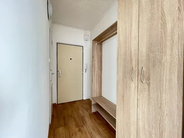 Pronájem bytu 1+1, Litvínov, Čapkova, 37 m2