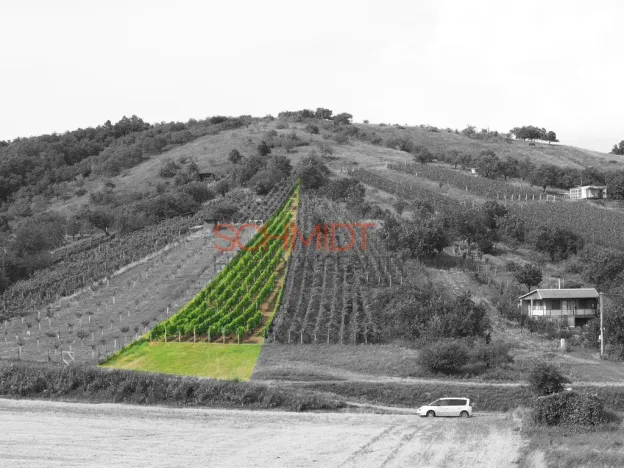 Prodej sadu/vinice, Kobylí, 1799 m2