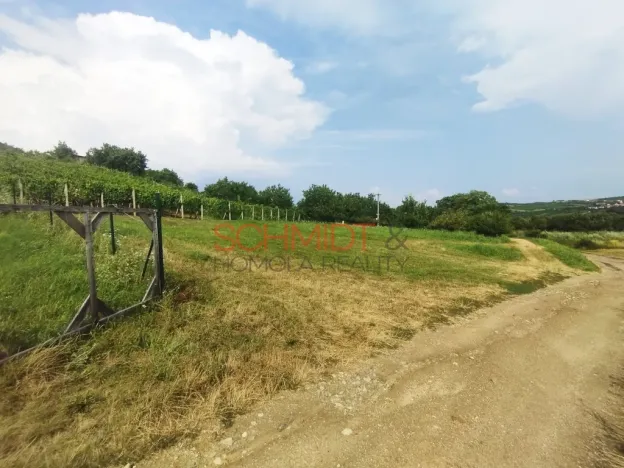 Prodej sadu/vinice, Kobylí, 1799 m2