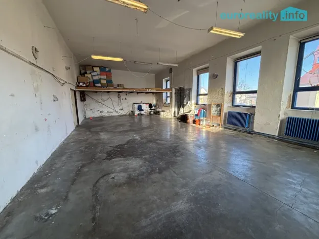 Prodej obchodního prostoru, Dnešice - Černotín, 205 m2