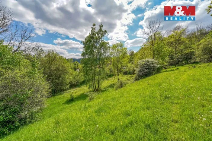 Prodej zahrady, Sušice - Nuzerov, 7751 m2