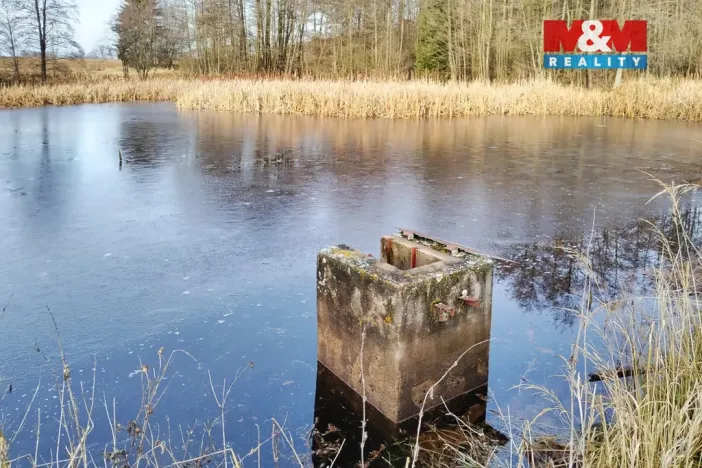 Prodej rybníku, Velká Losenice, 13639 m2