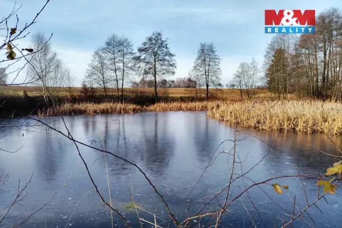 Prodej rybníku, Velká Losenice, 13639 m2