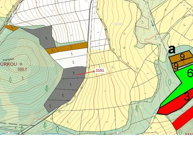Dražba lesa, Zavlekov, 1331 m2