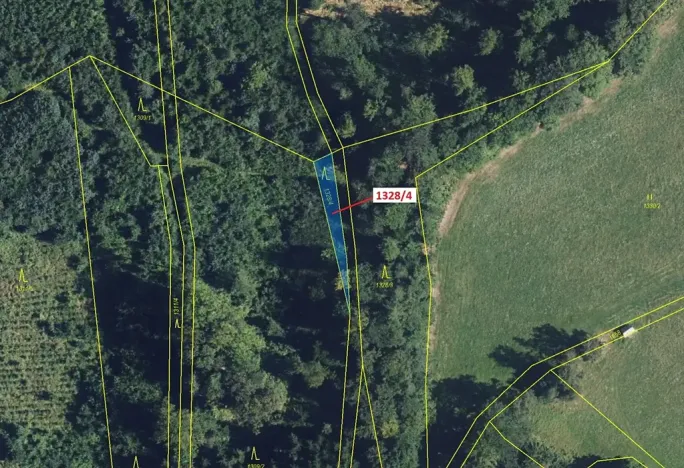 Dražba lesa, Kladky, 199 m2