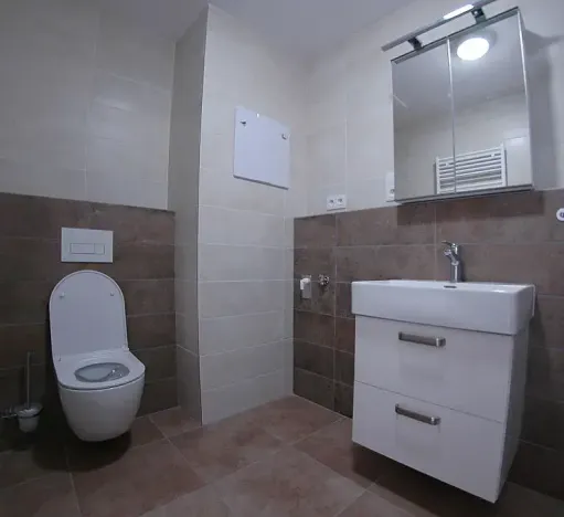 Pronájem bytu 2+kk, Plzeň, Hrachová, 43 m2