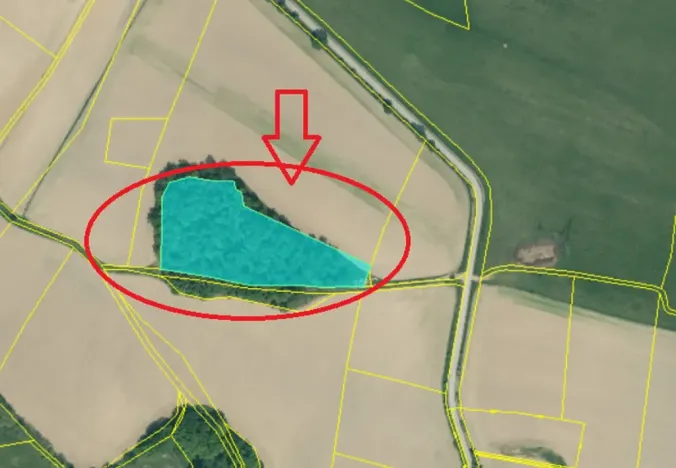 Prodej lesa, Bavorov, 10907 m2