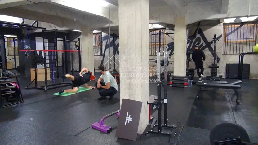 Pronájem komerční nemovitosti, Praha - Karlín, Pernerova, 358 m2