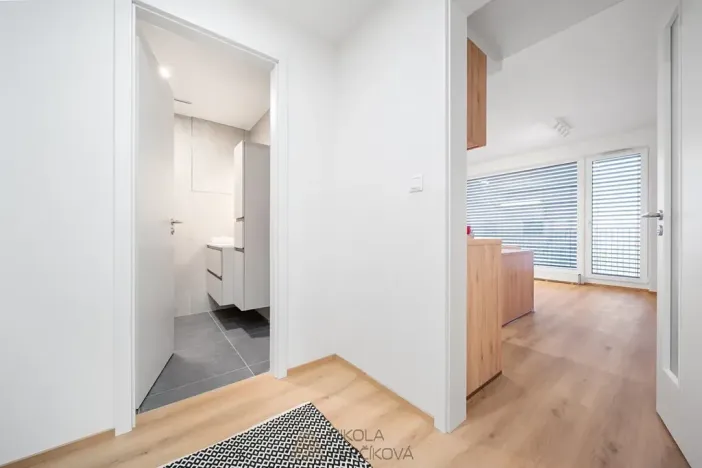 Pronájem bytu 3+kk, Brno, Rybářská, 63 m2