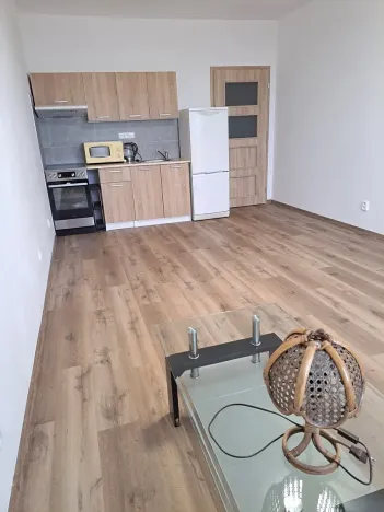 Pronájem bytu 1+kk, Hradec Králové, Jana Masaryka, 35 m2