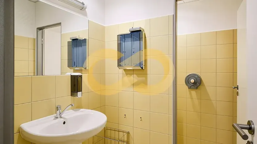 Pronájem kanceláře, Písek, Alšovo nám., 200 m2