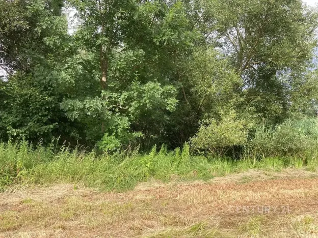 Prodej pozemku, Staňkovice, 438 m2