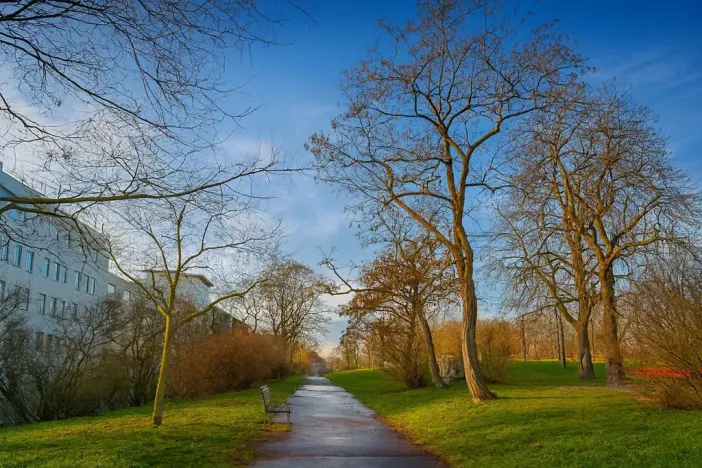 Prodej bytu 2+kk, Praha - Žižkov, 47 m2