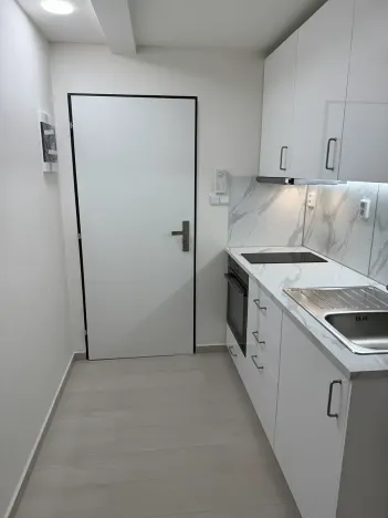 Pronájem bytu 1+kk, Praha - Vinohrady, Nad olšinami, 24 m2