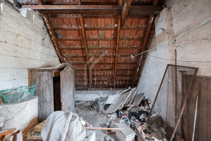 Prodej rodinného domu, Třebusice, 470 m2