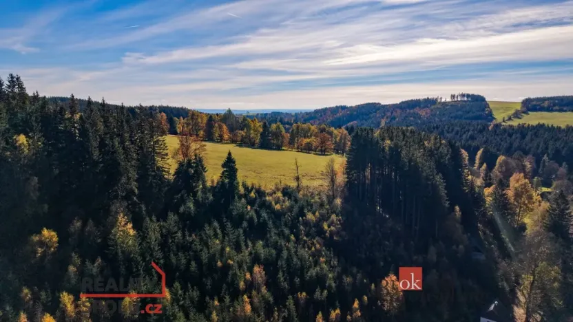 Prodej chalupy, Říčky v Orlických horách, 65 m2