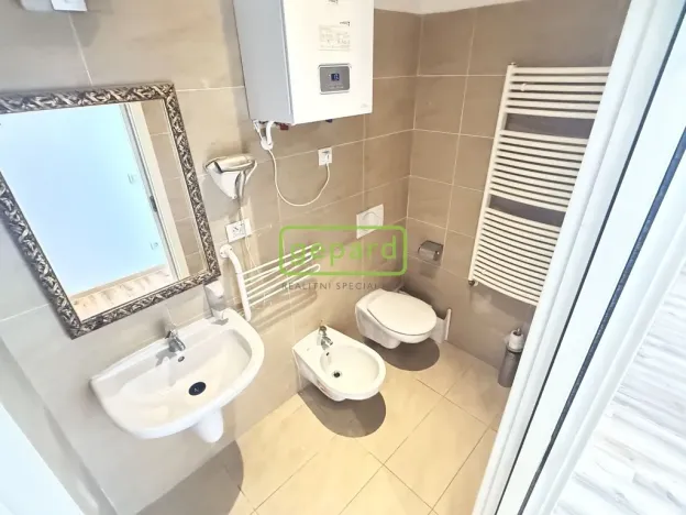 Pronájem bytu 3+kk, Praha - Žižkov, Vlkova, 56 m2